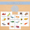 Bugs Symmetry Cards – Printable Insect Symmetry Activity for Kids | Preschool & Kindergarten