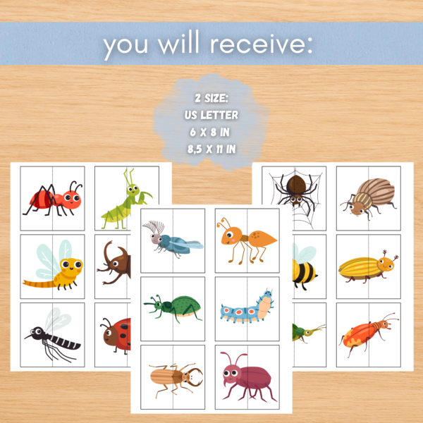 Bugs Symmetry Cards – Printable Insect Symmetry Activity for Kids | Preschool & Kindergarten