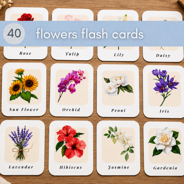 40 Flowers Flash Cards – Flower Identification & Vocabulary Printable