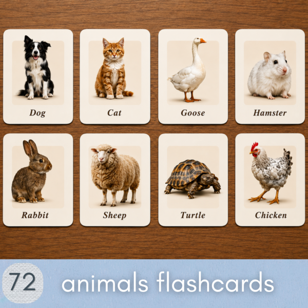 72 Animal Flashcards for Kids | Printable Animal Flash Cards | Preschool Learning Activity