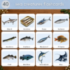 40 Sea Creatures Flash Cards for Kids – Printable Ocean Animal Flashcards – Preschool Learning Activity