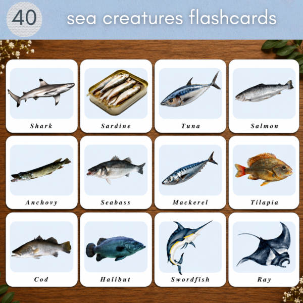 40 Sea Creatures Flash Cards for Kids – Printable Ocean Animal Flashcards – Preschool Learning Activity