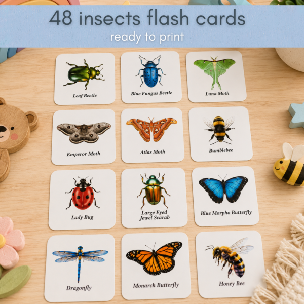 48 Insects Flash Cards for Kids – Printable Insect Flashcards | Bugs & Insects Learning Cards